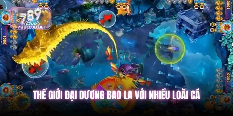 7 Mẹo Chơi Bắn Cá Rùa Xanh Đỉnh Cao Tại 789club Năm 2025 Thế giới đại dương bao la với nhiều loài cá